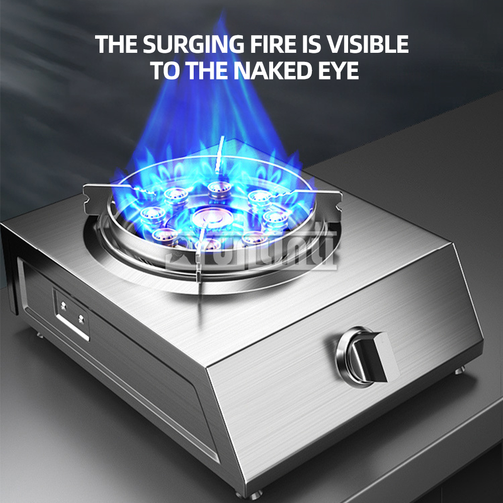 Home Cooking Chinese - Stainless Steel Gas Cooker Kitchen Single