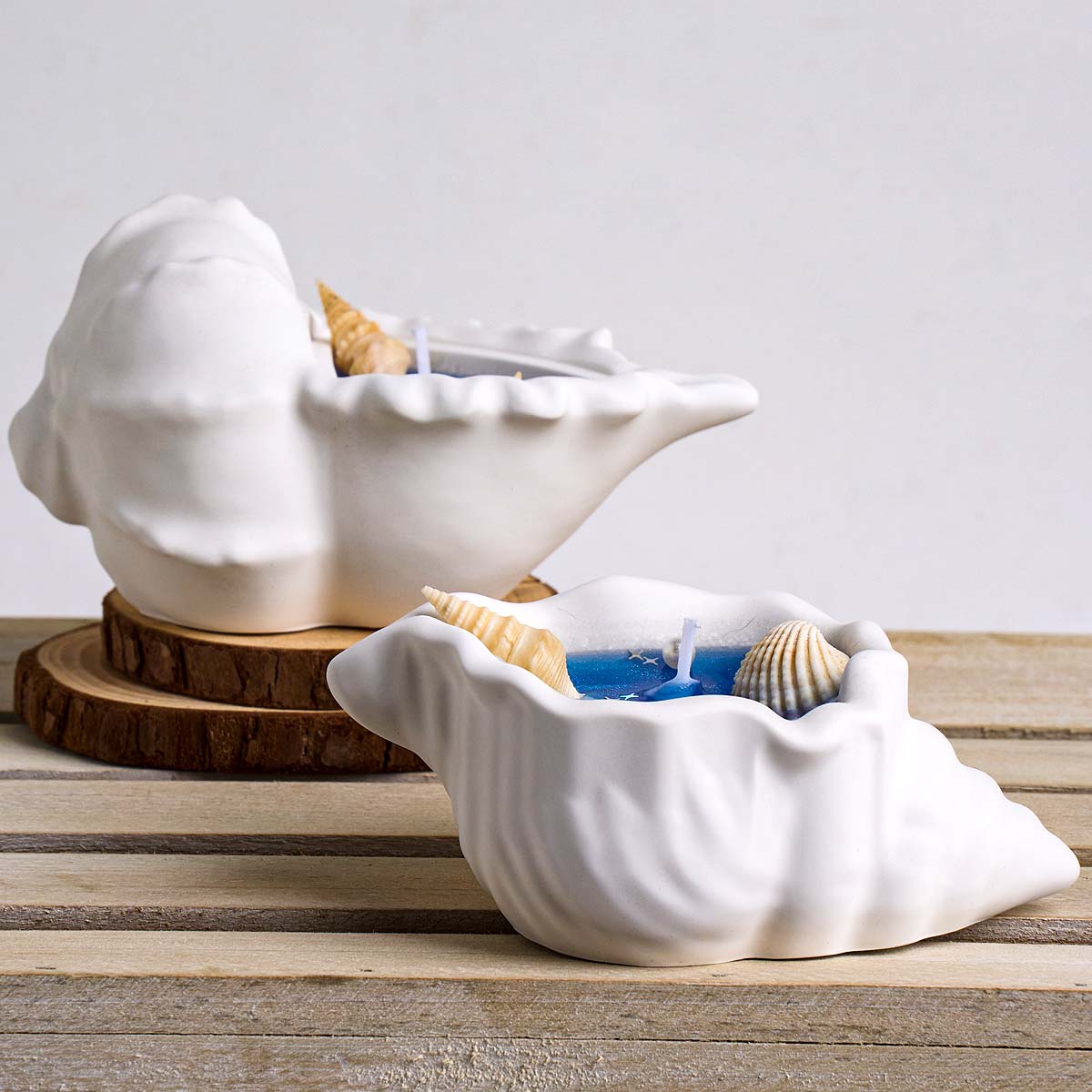 Conch Flowerpot Silicone Mold  – Idli Steamer Mold recenzja i cena