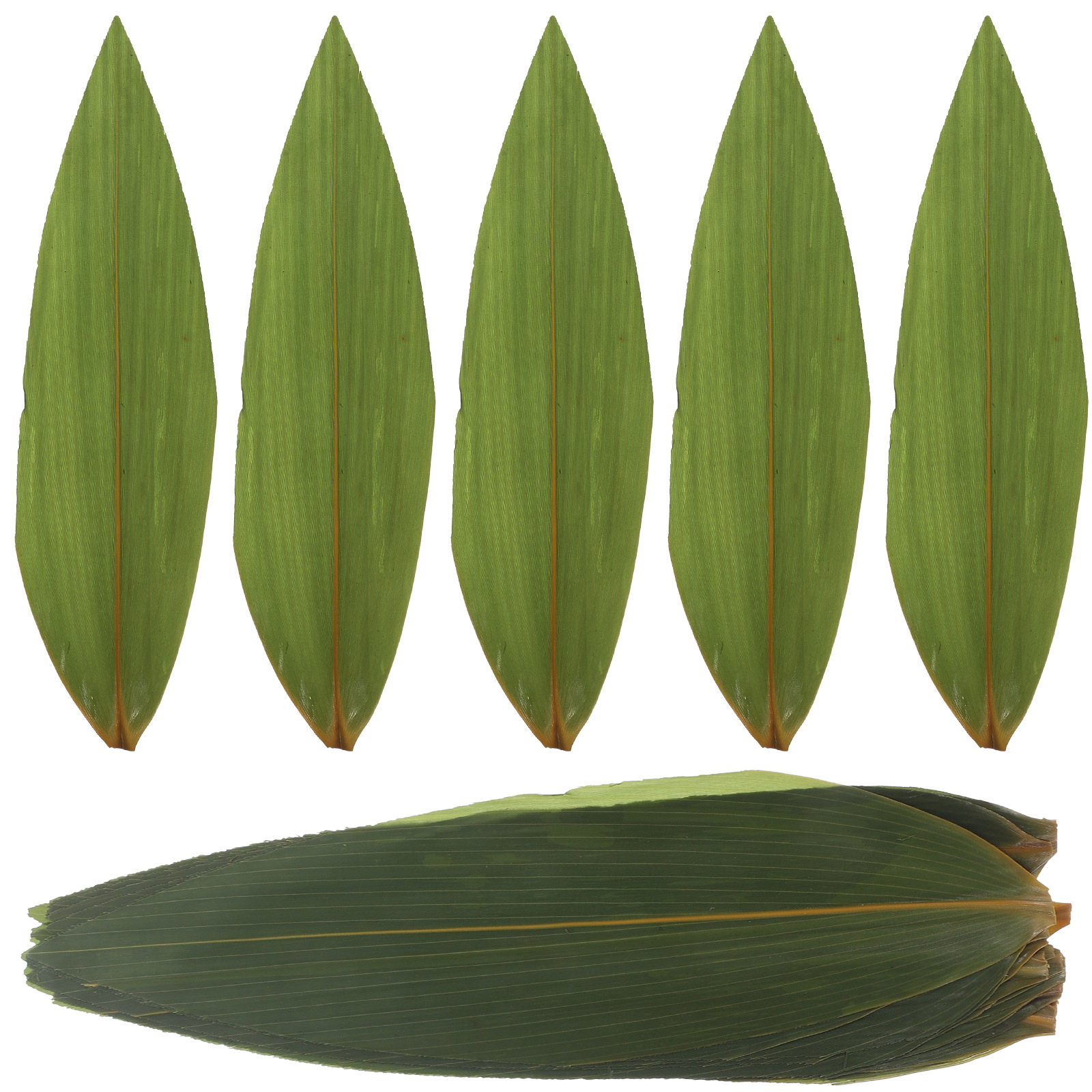 100pcs Sushi Bamboo Leaves Sas – Sushi Mat Bamboo recenzja i cena