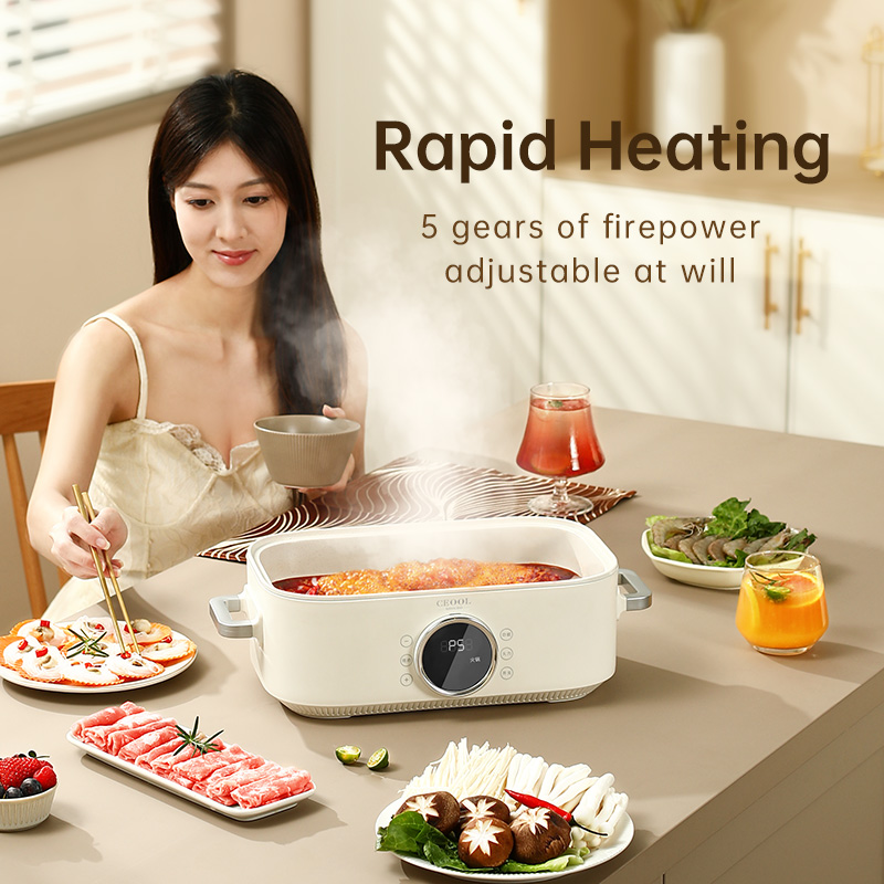 10L 3-in-1 Electric Food Steam – Home Cooking Restaurant recenzja i cena