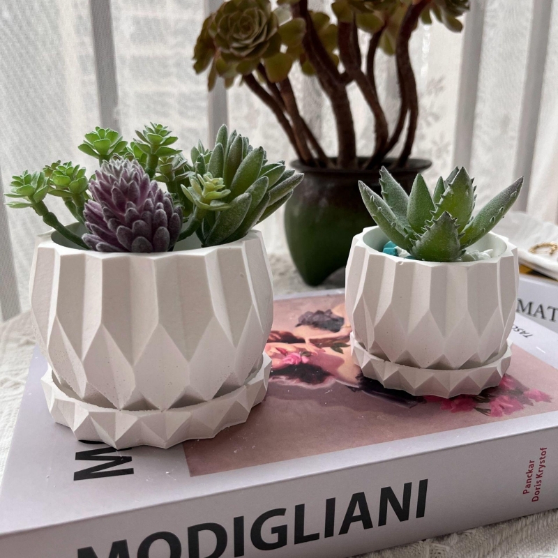 Geometric Diamond Flowerpot Co – Idli Steamer Mold recenzja i cena