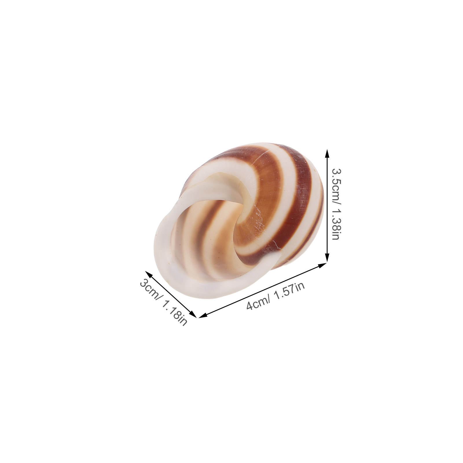 4Pcs Natural Spiral Snail Shel – Home Cooking In French recenzja i cena